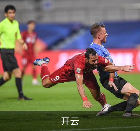 开云简介